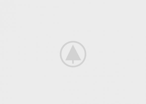 wood-gallery-placeholder-5