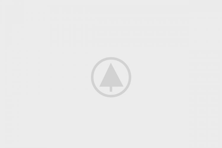 wood-portfolio-placeholder